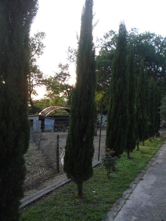 Agriturismo La Fattoria Сан-Донато-Валь-ди-Комино Экстерьер фото