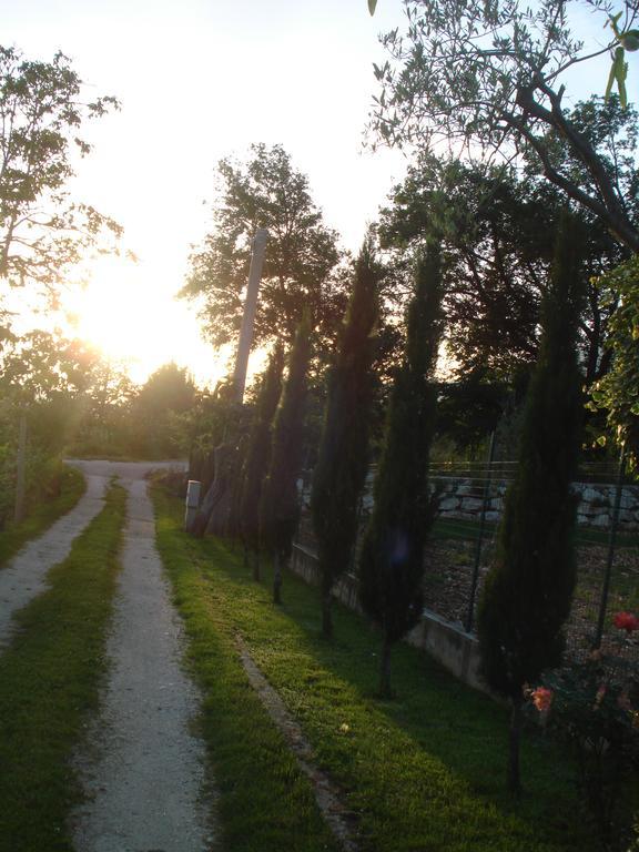 Agriturismo La Fattoria Сан-Донато-Валь-ди-Комино Экстерьер фото